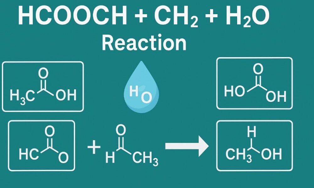 HCOOCH CH2 H2O