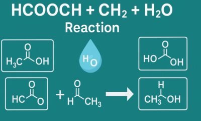 HCOOCH CH2 H2O