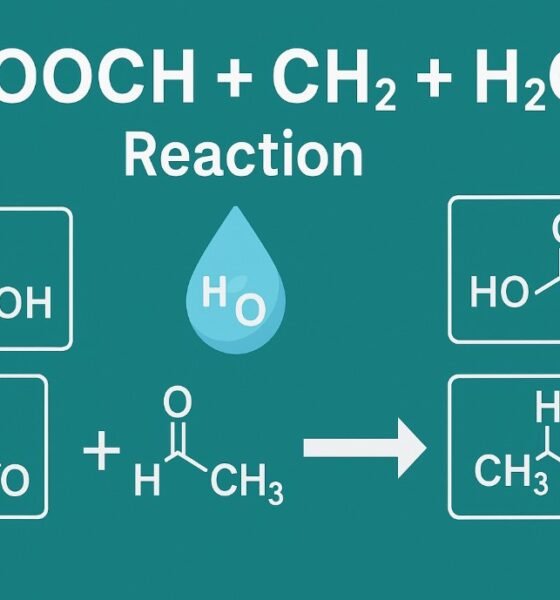 HCOOCH CH2 H2O